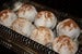 Image of Peter Rabbit Truffle (Half Dozen)