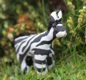 Image of Small Zebra