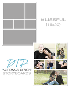Image of 16x20 Blissful Storyboard Template