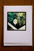 Image of Rosemary sprigs blooming photo card