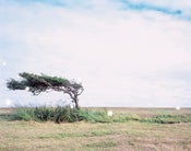 Image of Untitled I (The Coalescence) 2010