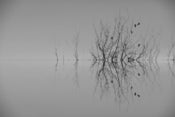 Image of Sinking