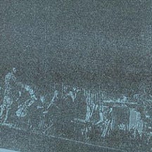 Image of Tenrils In Vigne LP (out of print, but available here)