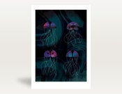 Image of Jellyfish