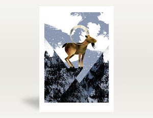 Image of Ibex