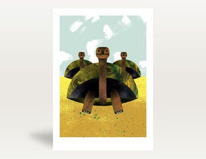Image of Giant Galapagos Tortoise