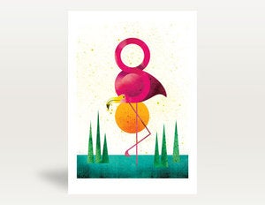 Image of Flamingo