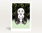 Image of Panda