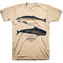 Image of THE WHALE PORT shirt