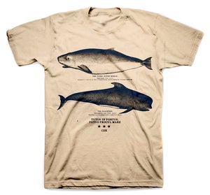 Image of THE WHALE PORT shirt