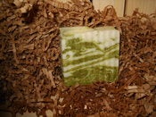 Image of Spearmint & Wheatgrass body Bar