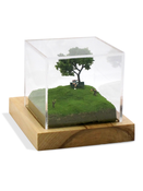 Image of Chimps Diorama by R.S. Posnak (only available in SF Bay Area)