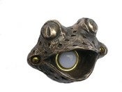 Image of Fiona Frog Doorbell Cover