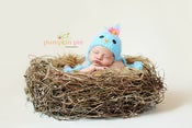 Image of Baby Blue Bird