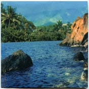 Image of Boyd Shropshire "Color The Years" CD