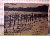 Image of Napa Valley Vineyard note cards