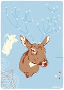 Image of Rural Networks