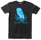 Image of THE OWL AWAITS