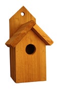 Image of Freedom House