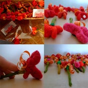 Image of Mini Roses (Llana)