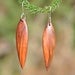 Image of New Zealand Kamahi Straight Earrings