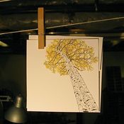Image of aspen