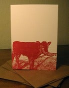 Image of baby calf