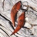 Image of New Zealand Kamahi Curved Earrings