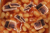 Image of Toast on Baked Beans Fabic-sold per metre