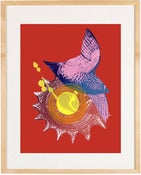 Image of Curiosities No. 10