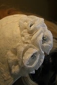 Image of Something Blue Fascinator