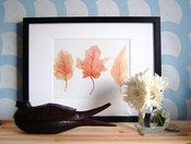 Image of Autumn leaves