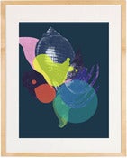 Image of Curiosities No. 12