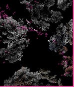 Image of SALE-Now! Oceania_2 I Silk