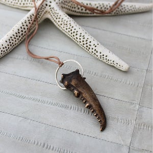 Image of Lobster Claw, RAA501