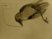 Image of *@!# crow