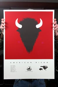 Image of American Bison