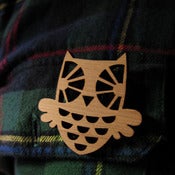 Image of Hootie brooch