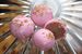 Image of Pink Champagne (Half Dozen)