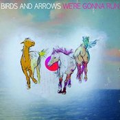 Image of Birds and Arrows -We're Gonna Run Digital Download