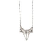 Image of MEGALODON SHARK TOOTH