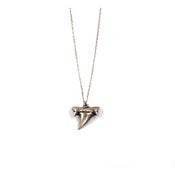 Image of SMALL SHARK TOOTH