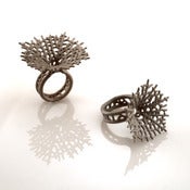 Image of Hyphae Ring