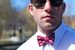 Image of Pigs in a Blanket Bow tie