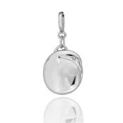 Image of Kiwi Clip-on-Charm