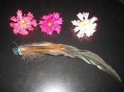 Image of The Blue Rockin' Robin Hair Clip