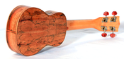 Image of Kala Flame Maple Soprano
