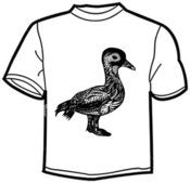 Image of Ducky