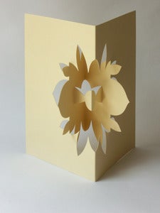 Image of lotus flower