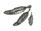 Image of Warrior Feathers